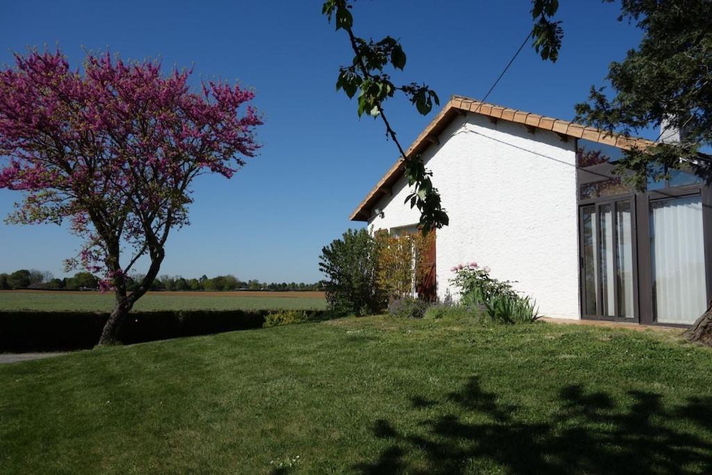 Vila A Proximite Du Futuroscope Et Des Marais Poitevin Rouille Exteriér fotografie
